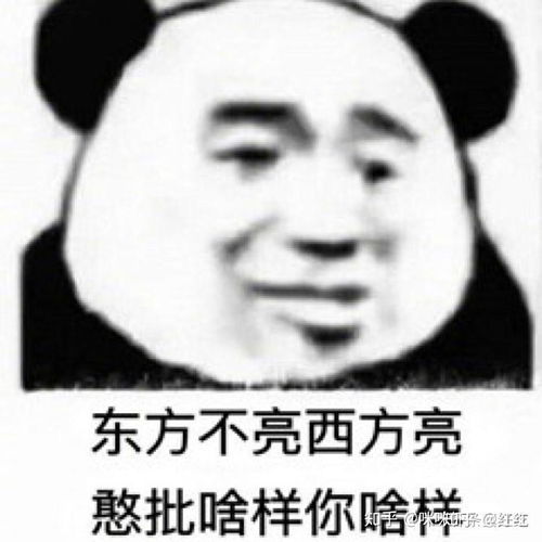  希望大家看了沙雕表情包可以开心开心