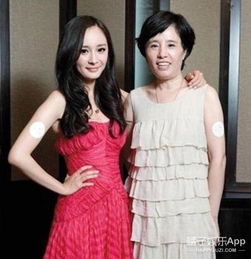  母亲节福利一起来看看娱乐圈中美丽的星妈吧图
