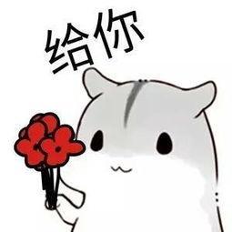  我就问你有没有七夕礼物表情包合集