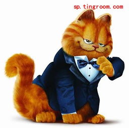  动画加菲猫juegolimpio