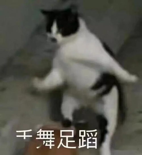  郑小布说天气20度的春天,踏青刚刚好