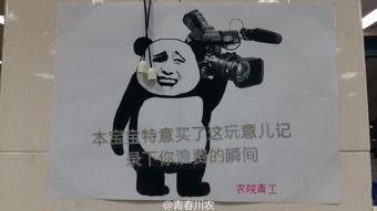  厉害了我的川农大食堂魔性表情包刷爆高校朋友圈