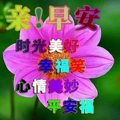  微信朋友清早祝福语漂亮图片表情,早安正能量问候祝福语短信