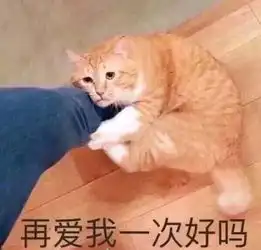  表情包和解专用