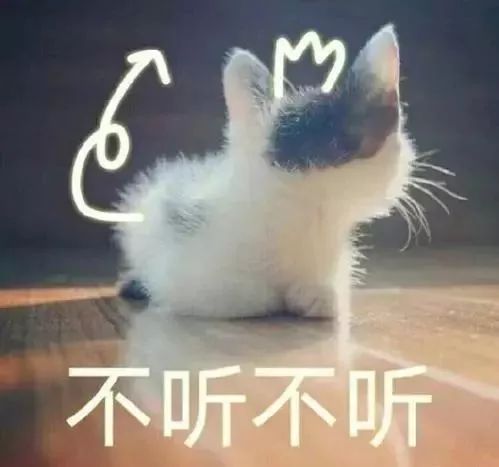 fine表情包撒娇