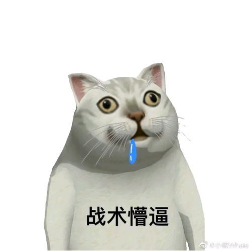  目前b站30个mur猫专栏里面的表情包整合以及其他mur表情