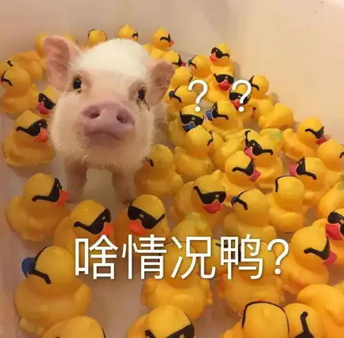  沙雕套路表情包给我点钱花花