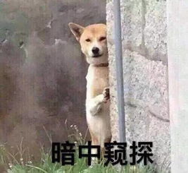 又是一项阻挡人与人之间信任的反人类发明