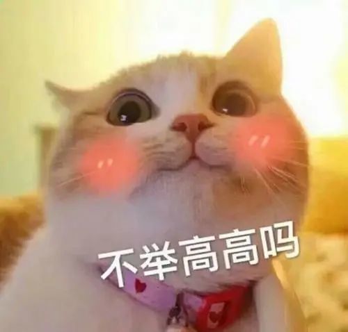  520官宣文案,甜蜜指数爆表