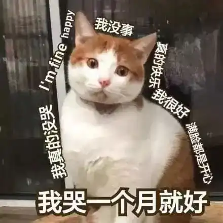  雨雪狂降138级风石家庄人挺住还有这些坏消息...