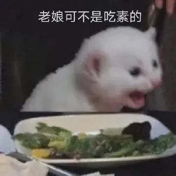  表情包小可爱来了