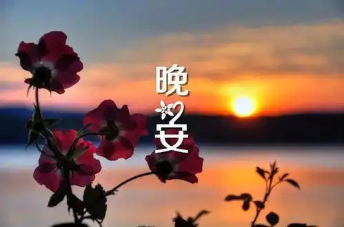  晚安暖心问候句子晚安正能量简短一句话