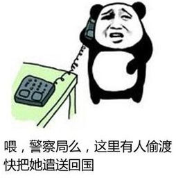  又曝偷渡移民大案加国华人被控,帮助近千人非法登陆加拿大,狂赚6套房产