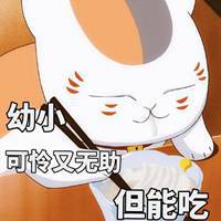  猫咪老师表情包图片微信头像图片大全