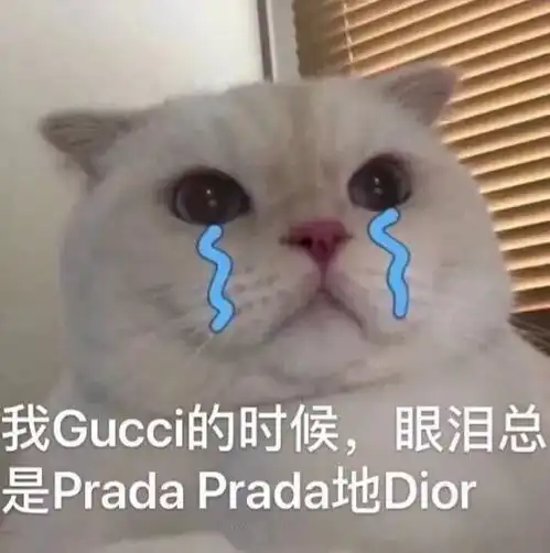  表情包丨我发誓再也不熬夜了