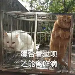  美的和格力的空调哪个更值得买