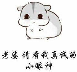  看我一脸真挚的小眼神表情包下载看我一脸真挚的小眼神表情包高清版下载极速下载