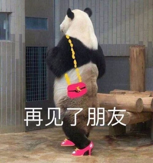 表情包那你看看杨蓓蓓