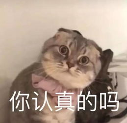  出差金华想找附近的美女约会,结果约来一条美女蛇......