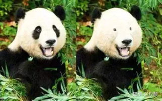  对于画眼线,你有哪些独特的小技巧吗