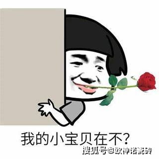 太那个了吧表情包元宵节