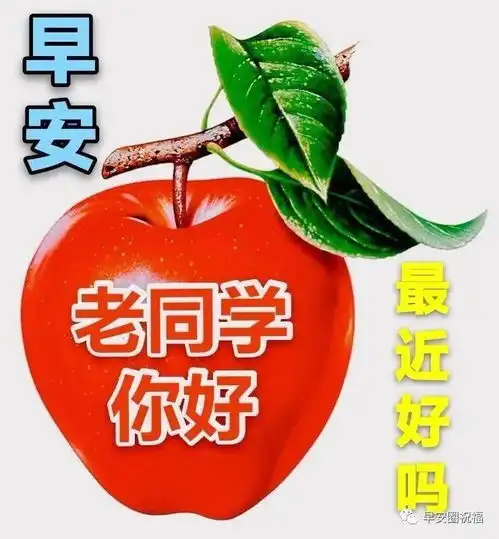 早早上好表情包奶茶