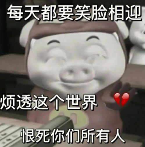 平凡的猪猪侠,不平凡的ggbond