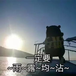  沈南坚持做真实的自己