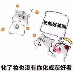  实不相瞒,最大的乐趣就是