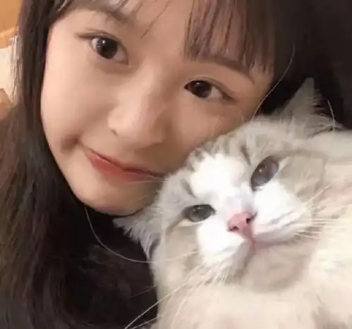  天天都在用的表情包猫咪,主人居然是个肌肉猛男