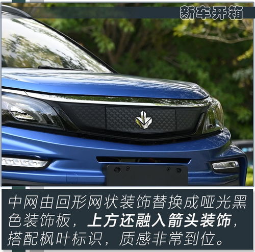  吉利旗下新款纯电suv将上市,不到7万就能买,还看啥比亚迪