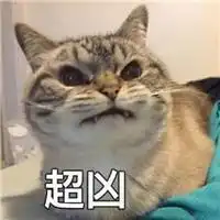  买回一双拖鞋,家里的橘猫却吃起醋来,这表情免不了1万字检讨了
