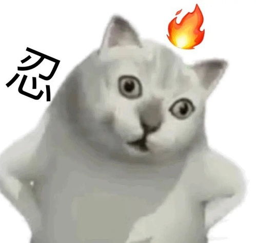  作为浙财东方的学生,第一,和口无遮拦的校友割席有那么难吗