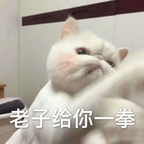  这个症状冬天常有严重可诱发颅内感染,大人小孩都要小心