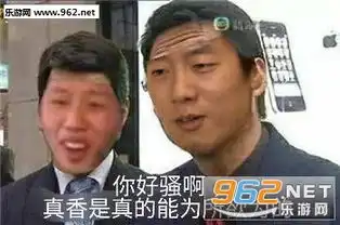  洪世贤王境泽华农兄弟陆超表情包合集互联网四大警告表情包下载乐游网游戏下载