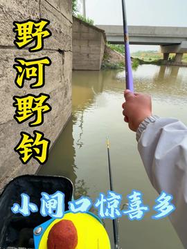  这鱼钓的太爽了,边钓边烤,家都不想回了原来钓鱼才是抖音运动顶流老坛甜薯钓鱼人