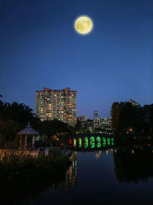  氛围感拉满超级月亮下,解锁在深过中秋的n种花式玩法