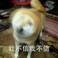 柴犬跳表情包不讲道理