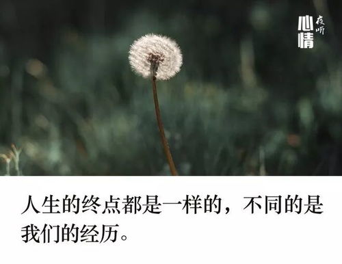 微信早安最新心情说说短句句句入心
