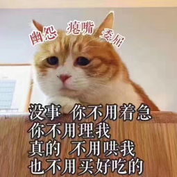  微信里捏胸那个表情包