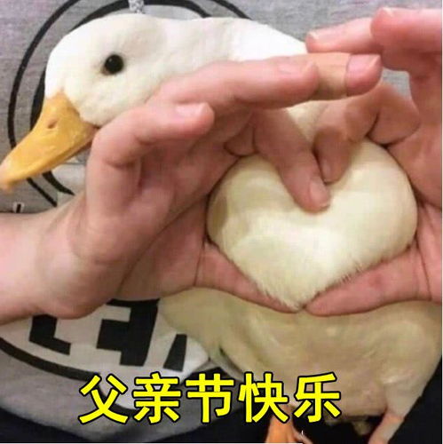 比心图片 表情包天神号