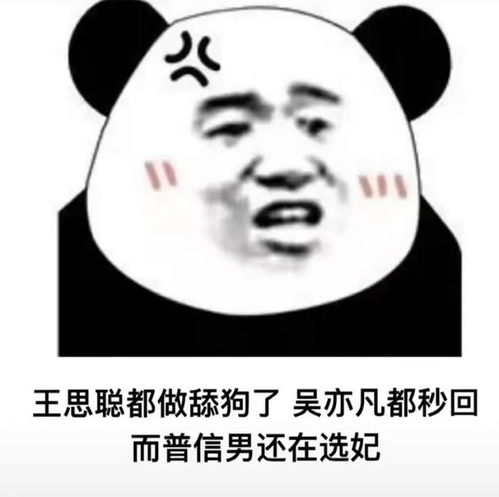  微信沙雕表情包王思聪的微信都有人不回,我微信没人回也正常