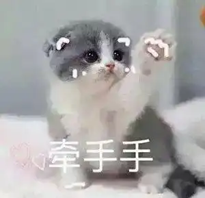 撒娇的表情包视频表情包