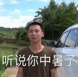 华农兄弟表情包中暑祝福