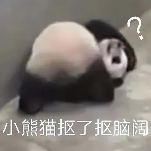  一直微笑就好了表情包