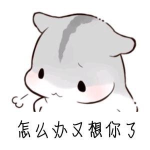  仓鼠表情包怎么办又想你了