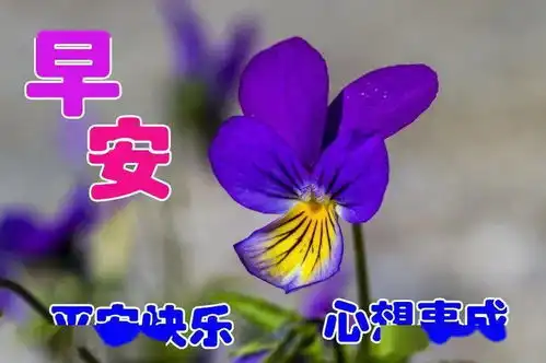  最新版非常漂亮的早上好表情图片温馨早安心语语录