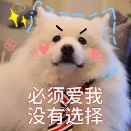  给萨摩耶买了个发光项圈,戴上去仙气十足