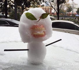  有一种丑叫南方雪人网友发起最丑雪人大赛