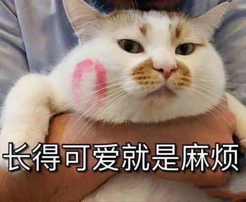  惨绿少年加减乘除居然也是成语奇怪的知识又双叒增加了